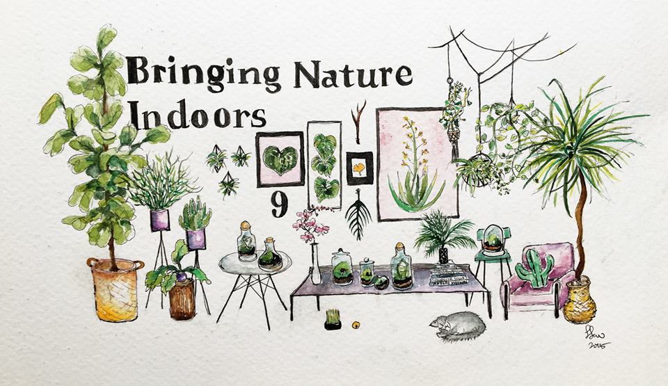 bringing nature indoors
