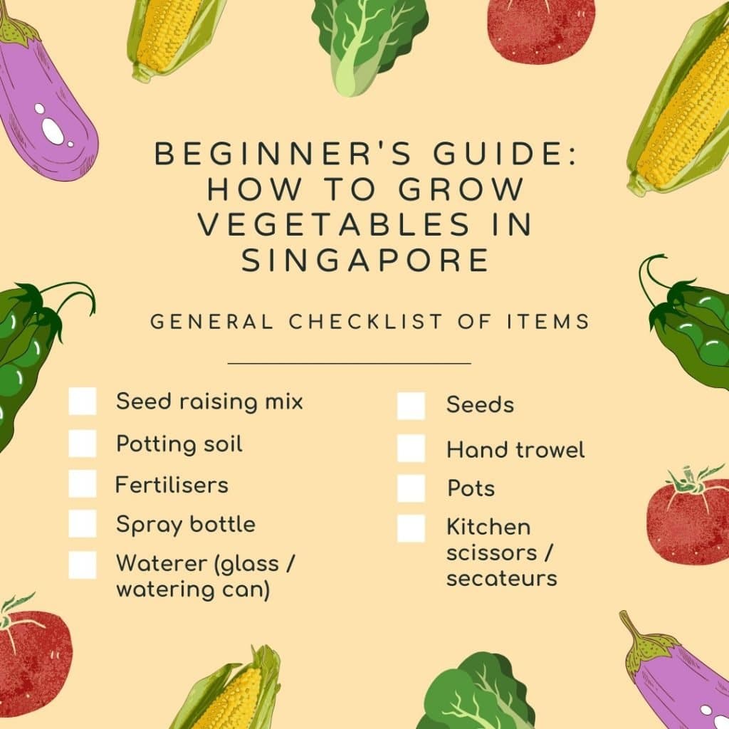 Beginner S Guide How To Grow Vegetables In Singapore
