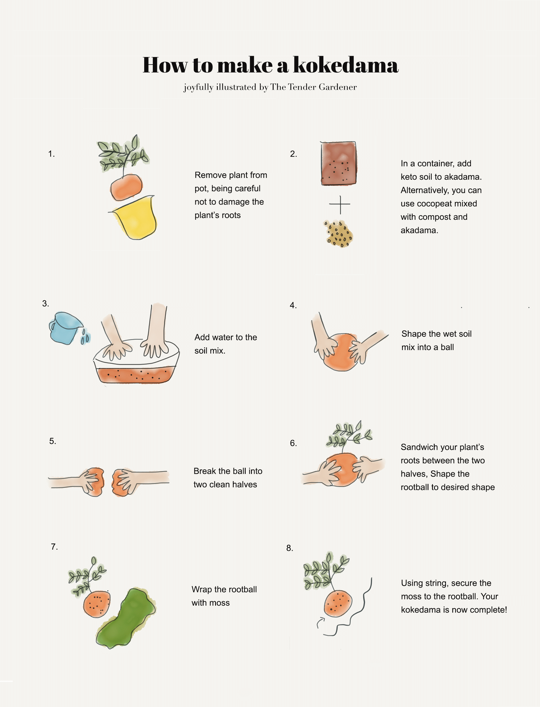 HOW TO: make a Kokedama