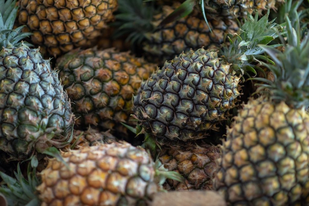 how many pineapples grow on one plant