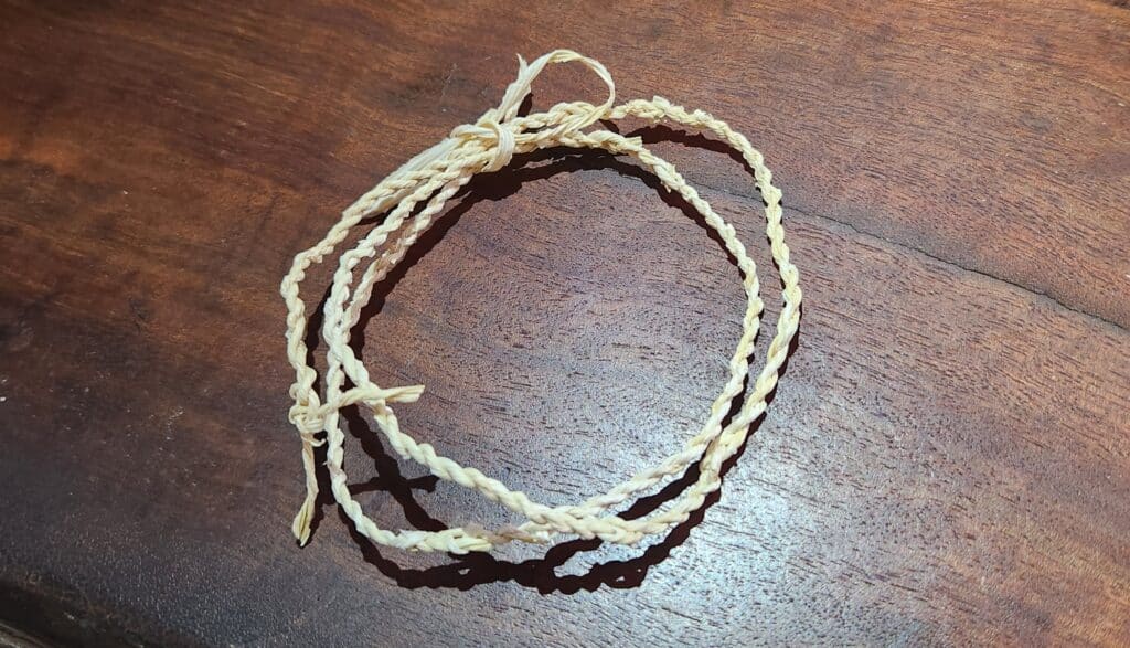 making cordage from plants